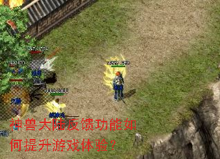 ���޴�½�����������������Ϸ���飿