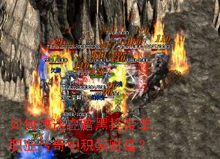 ��ο����ڰ��ڴ��ְҵ�����л��۲Ƹ���