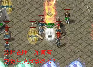 ��ʦ��PK�������Ч���÷ŷ���ս����