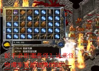 ���ֱ�ˢ��Щ�֣���Щ���ﱬ�ʾ�������BOSS