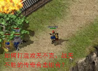 ��δ��칥�޲��ˡ�ս�޲�ʤ�Ĵ���ϻ���ϣ�