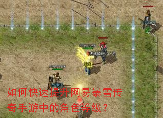 ��ο����������ױ�ѩ���������еĽ�ɫ�ȼ���