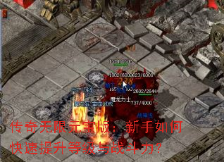 ��������Ԫ���棺������ο��������ȼ���ս������