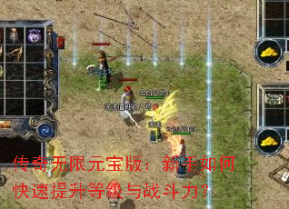 ��������Ԫ���棺������ο��������ȼ���ս������