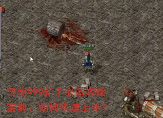 ����999���ֱر����Ա��䣺��ο������֣�