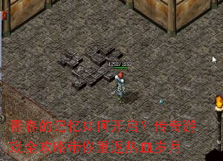 �ഺ�ļ�����ο�����������Ϸȫ���Դ����ط���Ѫ����