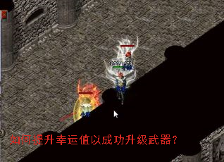 �����������ֵ�Գɹ�����������