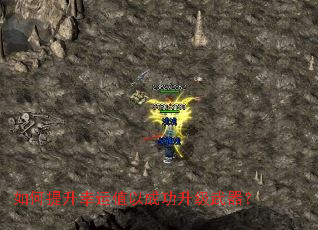 �����������ֵ�Գɹ�����������