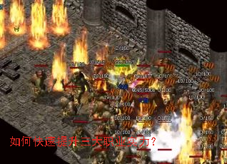 ��ο�����������ְҵʵ����