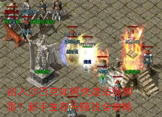 ����ɳ�Ϳ���ο���վ�ȽŸ�������������׬Ǯȫ����