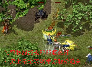 ����˽���ռ�BOSS��ô��ʷ����ȫ���Դ�������ͨ��