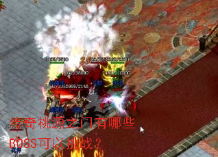 ������Դ֮������ЩBOSS������ս��