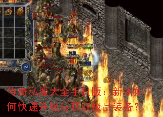 ����˽����ȫ�ֻ��棺������ο����������ȡ��Ʒװ����