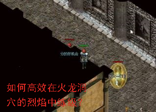 ��θ�Ч�ڻ�����Ѩ��������������