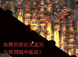 ��θ�Ч�ڻ�����Ѩ��������������
