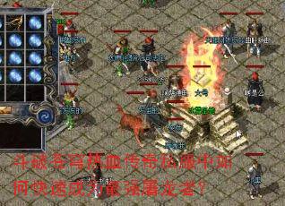 ���Ʋ����Ѫ����˽������ο��ٳ�Ϊ��ǿ�����ߣ�