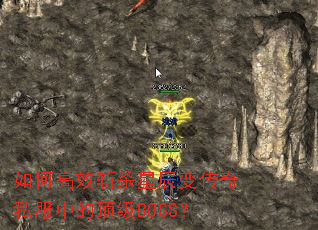 ��θ�Чնɱ�ǳ��䴫��˽���еĶ���BOSS��