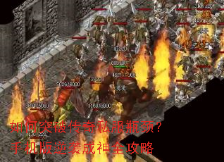 ���ͻ�ƴ���˽��ƿ�����ֻ�����Ϯ����ȫ����