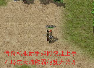 传奇私服新手如何快速上手?玛法大陆称霸秘笈大公开 传奇私服新手如何快速上手?玛法大陆称霸秘笈大公开