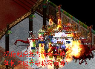 ���س��临�Ŵ������Σ���ο��������ư��۷壿