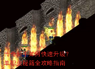 ����������ο�����������ְҵ�ؼ�ȫ����ָ��