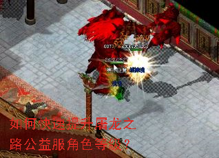如何快速提升屠龙之路公益服角色等级? 如何快速提升屠龙之路公益服角色等级?