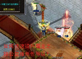 如何快速提升屠龙之路公益服角色等级? 如何快速提升屠龙之路公益服角色等级?