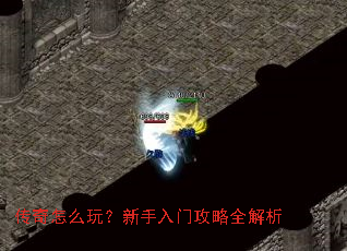 ������ô�棿�������Ź���ȫ����