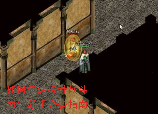 如何快速提升战斗力?新手必备指南 如何快速提升战斗力?新手必备指南