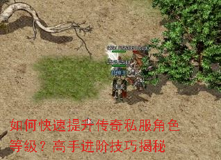 如何快速提升传奇私服角色等级?高手进阶技巧揭秘 如何快速提升传奇私服角色等级?高手进阶技巧揭秘