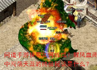 问道手游侠客如何炼成?腥风血雨中闯荡天涯的终极秘诀是什么? 问道手游侠客如何炼成?腥风血雨中闯荡天涯的终极秘诀是什么?