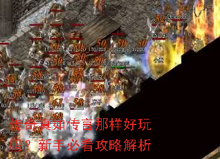 �������紫���������������ֱؿ����Խ���