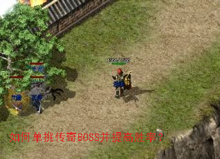��ε�������BOSS�����ʤ�ʣ�