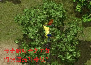 ���氵�֮����ο��������ȼ���