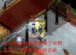 ���Ŵ��澭��ֵ˥�������Ӧ�ԣ����ٻָ������ڴ�