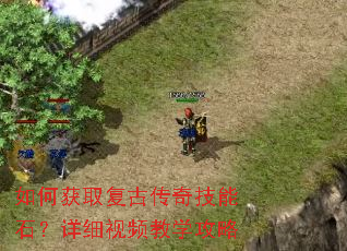 ��λ�ȡ���Ŵ��漼��ʯ����ϸ��Ƶ��ѧ����