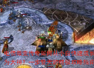 ����΢�䴫����δ�С�׿��ٳɳ�Ϊ����һ��������ռ�����ָ��