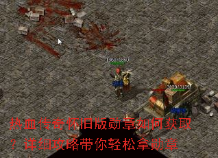 ��Ѫ���滳�ɰ�ѫ����λ�ȡ����ϸ���Դ���������ѫ��