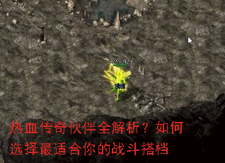 ��Ѫ������ȫ���������ѡ�����ʺ����ս���