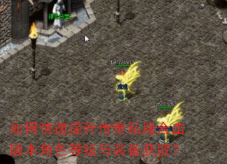 如何快速提升传奇私服合击版本角色等级与装备获取? 如何快速提升传奇私服合击版本角色等级与装备获取?