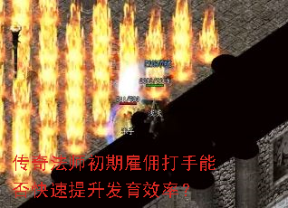 ���淨ʦ���ڹ�Ӷ�����ܷ������������Ч�ʣ�