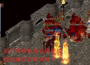 �¿�����˽�����������ҵ������Ϸ���ԣ�