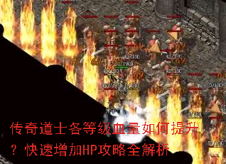 �����ʿ���ȼ�Ѫ�������������������HP����ȫ����