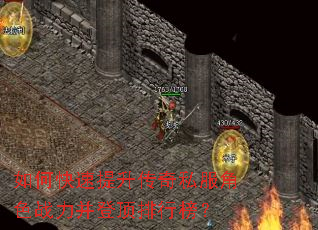 如何快速提升传奇私服角色战力并登顶排行榜? 如何快速提升传奇私服角色战力并登顶排行榜?
