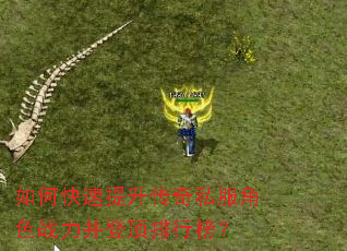 如何快速提升传奇私服角色战力并登顶排行榜? 如何快速提升传奇私服角色战力并登顶排行榜?