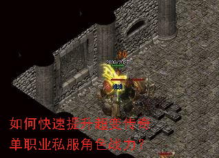 ��ο����������䴫�浥ְҵ˽����ɫս����