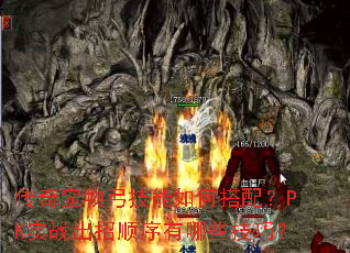 传奇宠物弓技能如何搭配?PK实战出招顺序有哪些技巧? 传奇宠物弓技能如何搭配?PK实战出招顺序有哪些技巧?