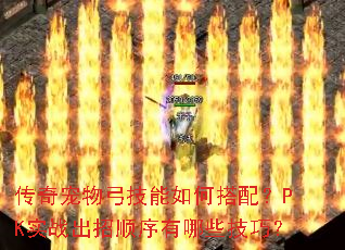传奇宠物弓技能如何搭配?PK实战出招顺序有哪些技巧? 传奇宠物弓技能如何搭配?PK实战出招顺序有哪些技巧?