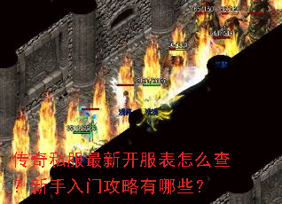 ����˽�����¿�������ô�飿�������Ź�������Щ��