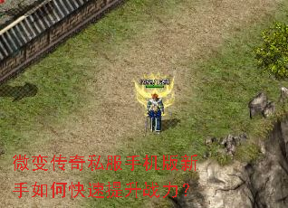 ΢�䴫��˽���ֻ���������ο�������ս����